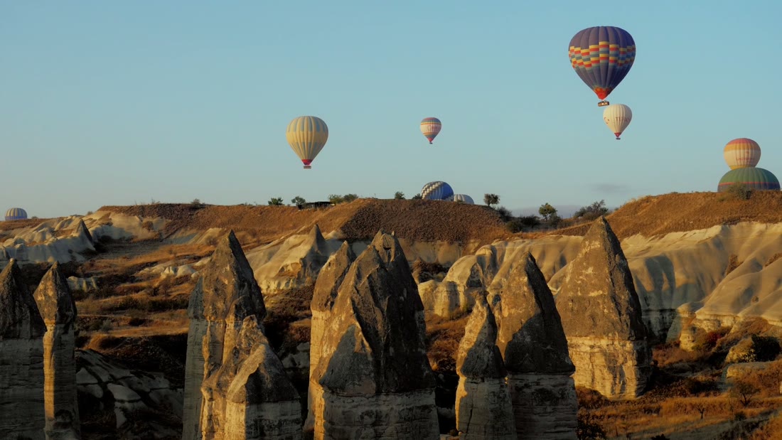 Turkey — Family Heritage